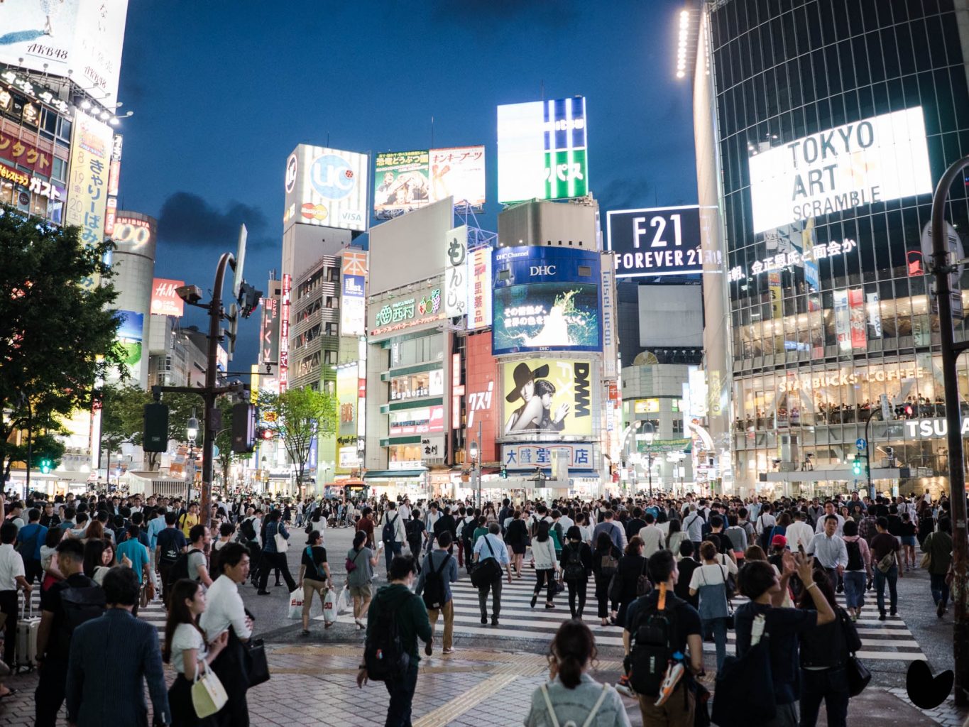 Shibuya Crossing