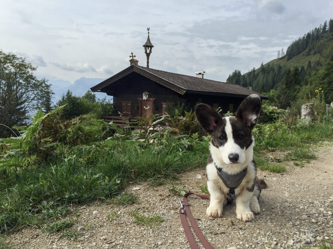 alpen-herbsturlaub-kaiserwinkl-tirol-tirol-im-herbst-wanderlust-wanderurlaubimg_9545