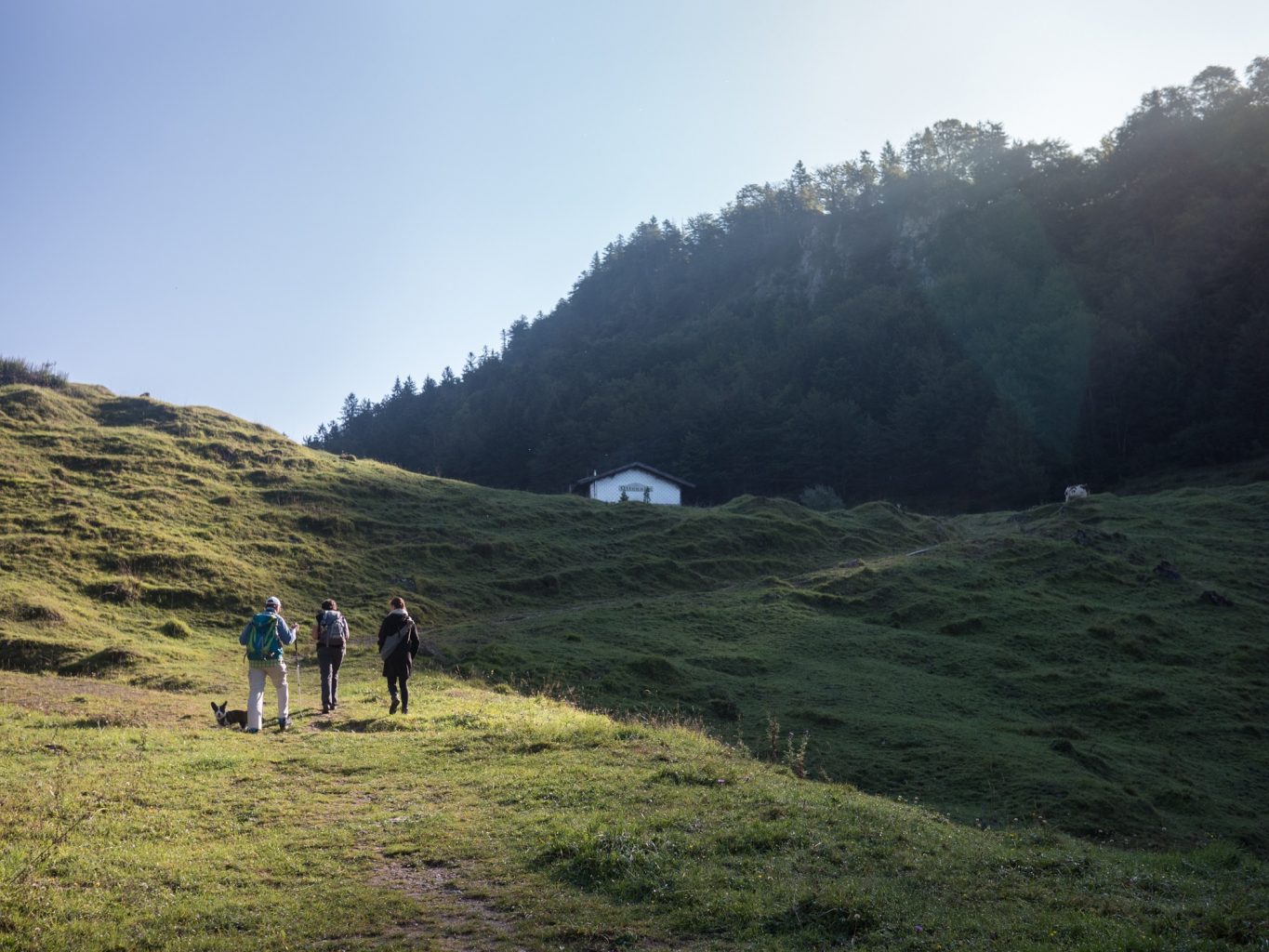 alpen-herbsturlaub-kaiserwinkl-tirol-tirol-im-herbst-wanderlust-wanderurlaubp1250190