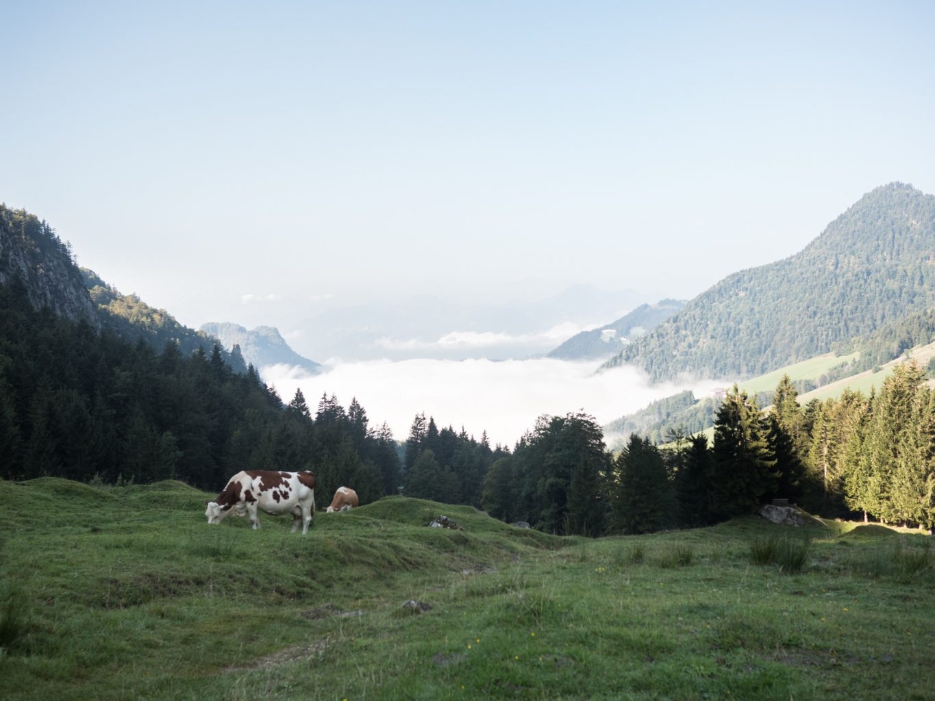 alpen-herbsturlaub-kaiserwinkl-tirol-tirol-im-herbst-wanderlust-wanderurlaubp1250195