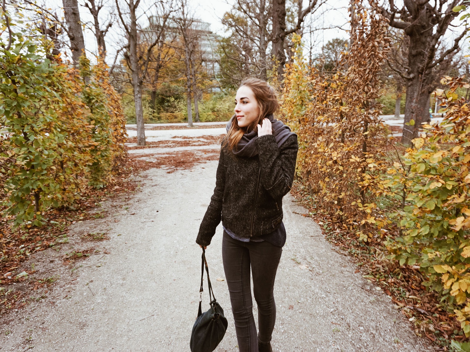 Die schönsten Herbstspaziergänge in Wien